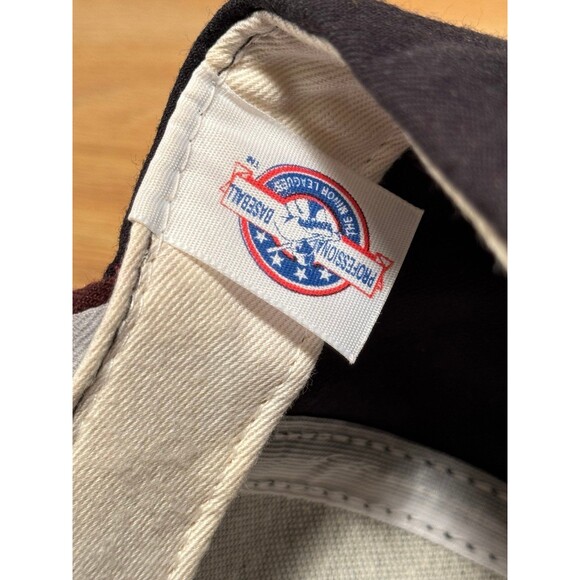 Vintage Wisconsin Timber Rattlers Minor League Baseball MiLB Snapback Hat USA - Picture 8 of 9